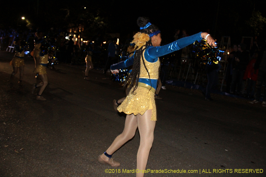 2018-Krewe-of-Oshun-00000836