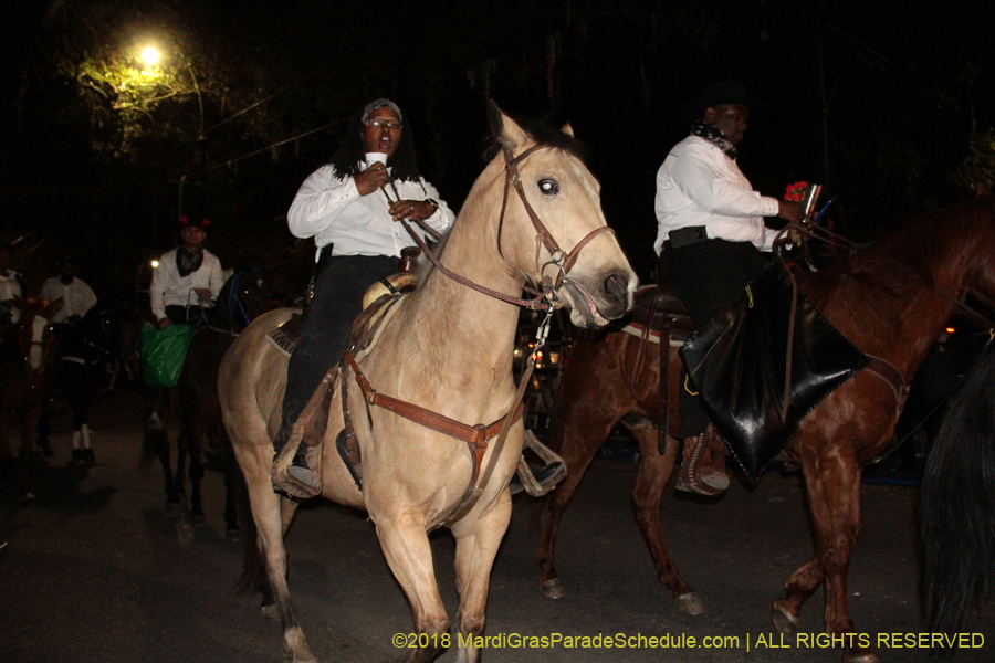 2018-Krewe-of-Oshun-00000852