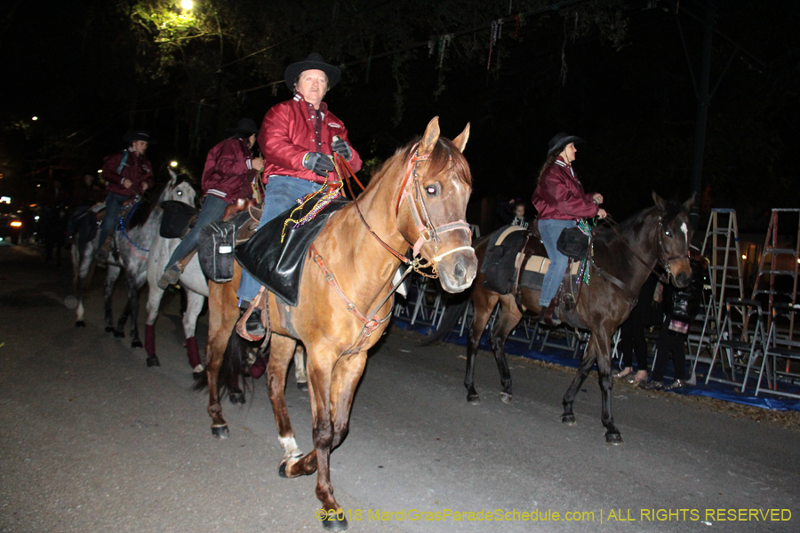 2018-Krewe-of-Oshun-00000871