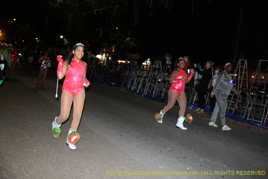 2018-Krewe-of-Oshun-00000880