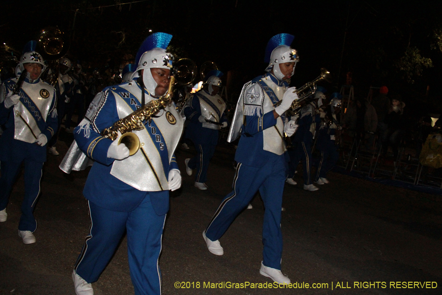 2018-Krewe-of-Oshun-00000890