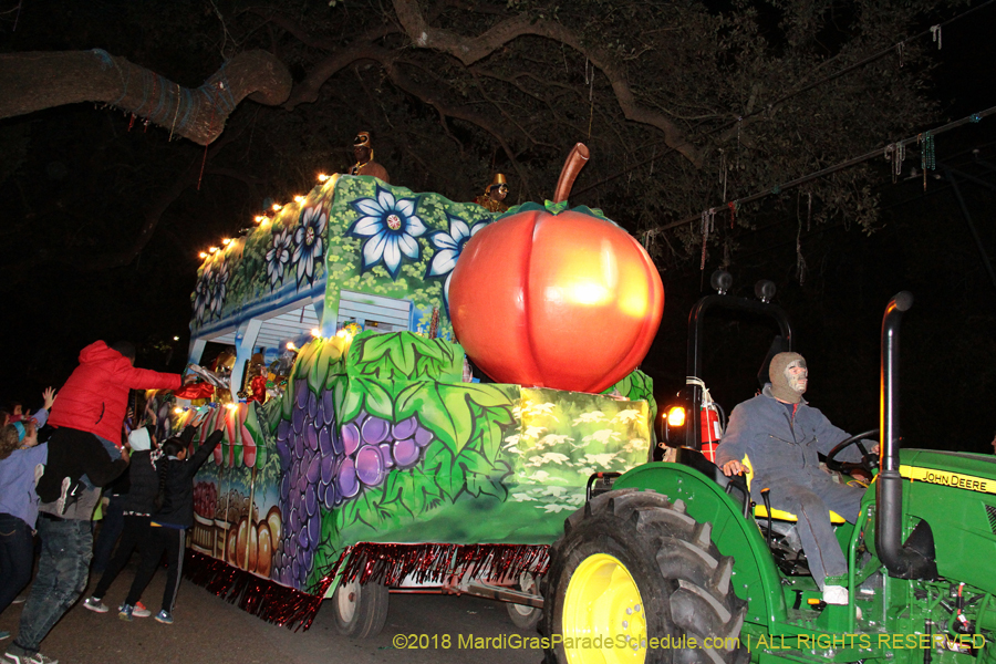2018-Krewe-of-Oshun-00000952
