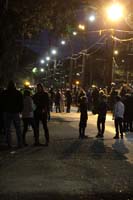 2018-Krewe-of-Oshun-00000788