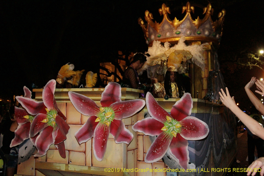 Krewe-of-Oshun-2019-001469