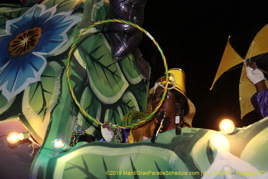 Krewe-of-Oshun-2019-001506