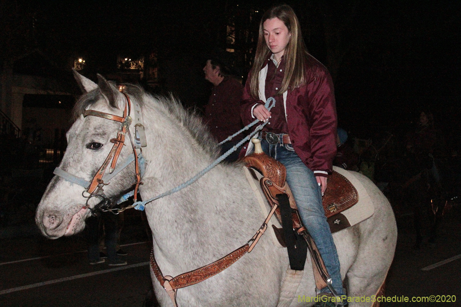 Krewe-of-Oshun-2020-01700