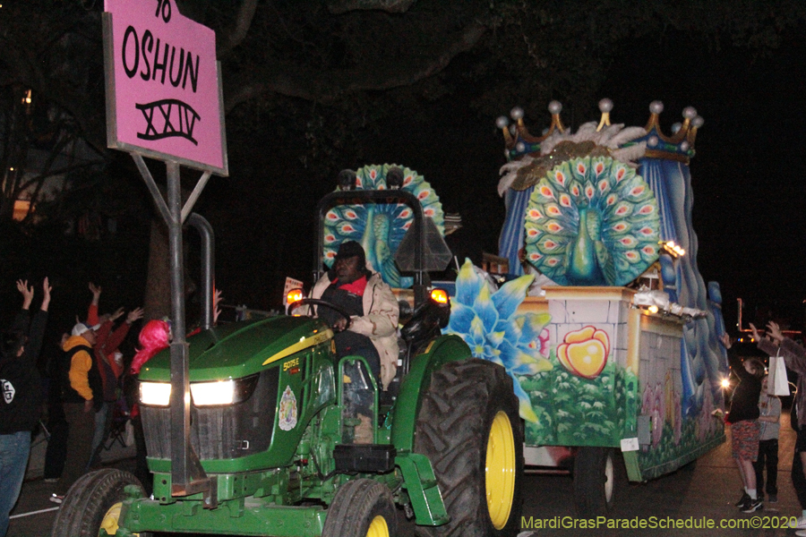 Krewe-of-Oshun-2020-01713