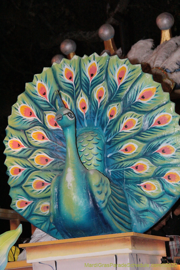 Krewe-of-Oshun-2020-01714