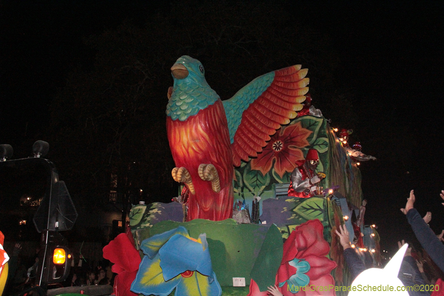 Krewe-of-Oshun-2020-01726