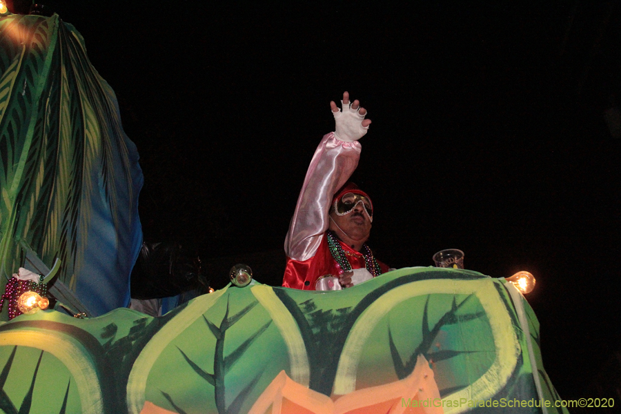 Krewe-of-Oshun-2020-01731