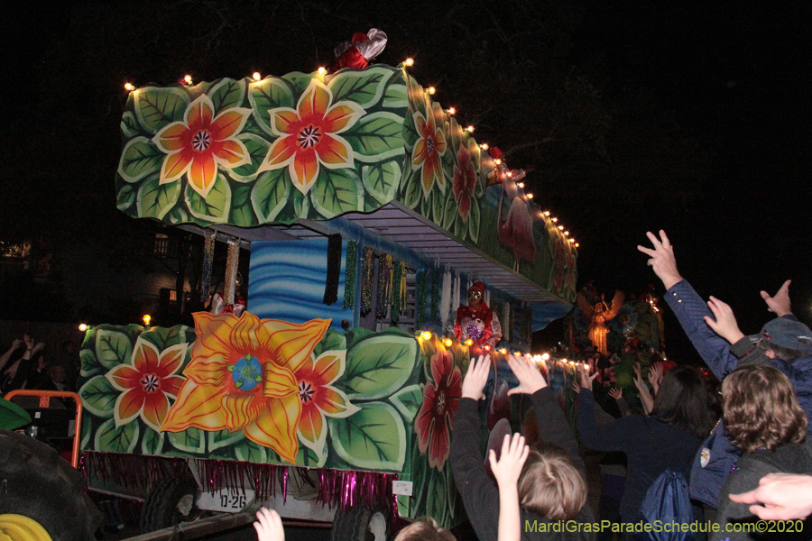 Krewe-of-Oshun-2020-01743