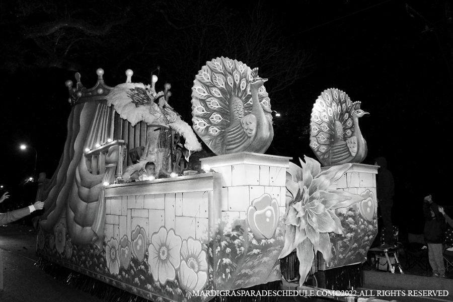 Krewe-of-Oshun-00086-2022