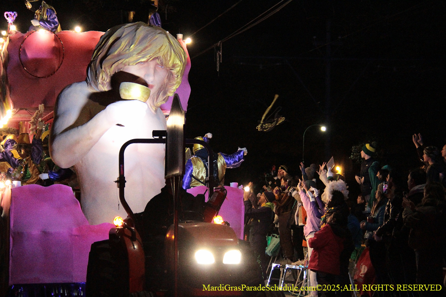 Krewe-of-Oshun-2025-001778