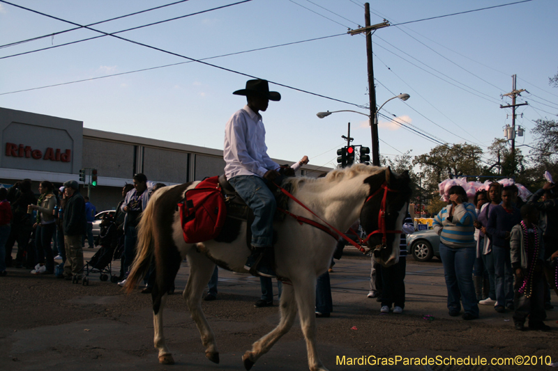 Krewe-of-Pontchartrain-2010-Mardi-Gras-Uptown-3795