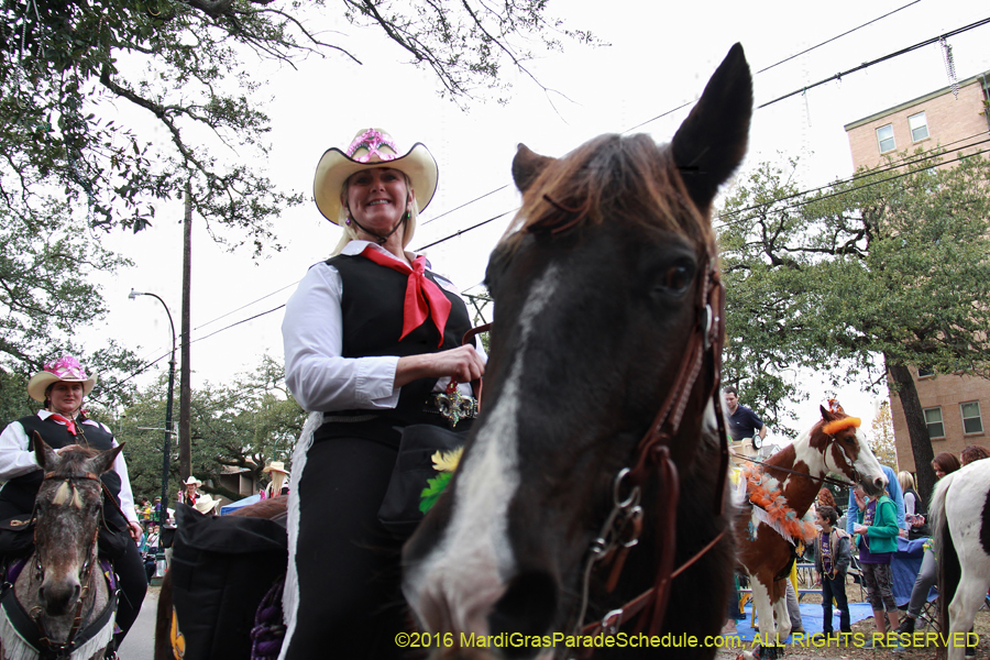 2016-Krewe-of-Pontchartrain-001713
