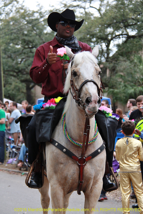 2016-Krewe-of-Pontchartrain-001794