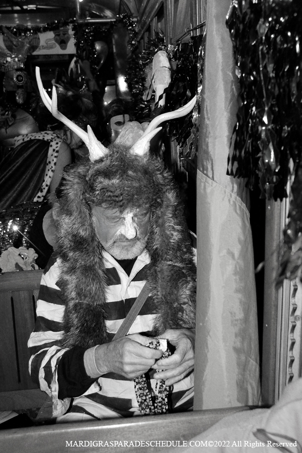 Phunny-Phorty-Phellows-00062-2022