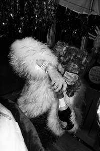 Phunny-Phorty-Phellows-00060-2022