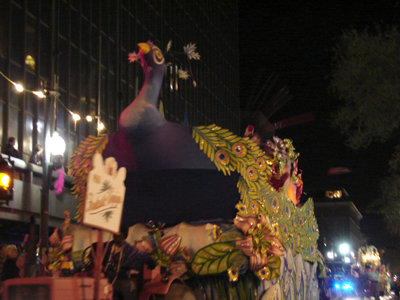 kreweofproteus2006_00106
