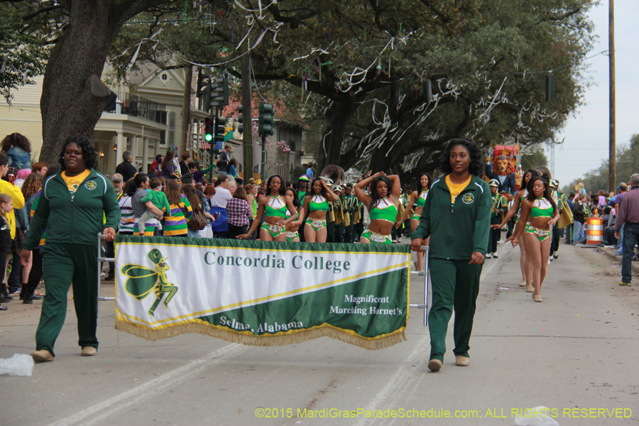 Krewe-of-Proteus-2015-18871