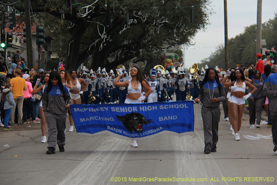 Krewe-of-Proteus-2015-18961