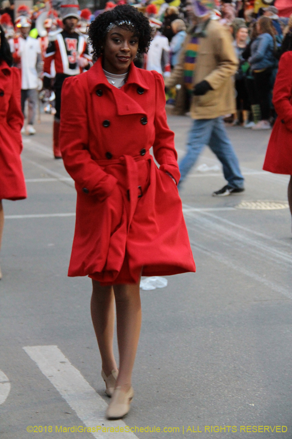 2018-Krewe-of-Proteus-00008154