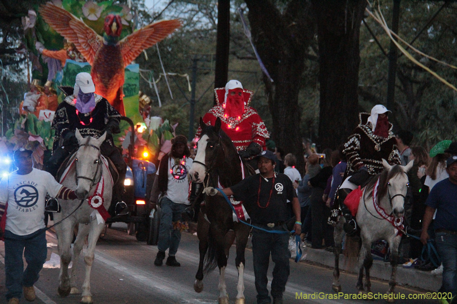 Krewe-of-Proteus-2020-08939