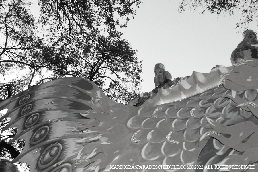 Krewe-of-Proteus-00036-2022