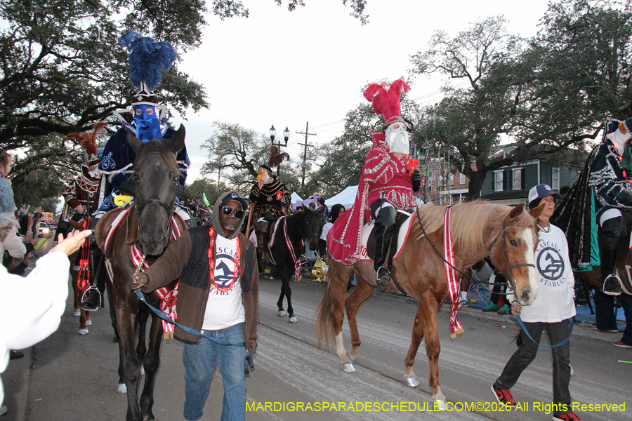 Krewe-of-Proteus-2026-10553