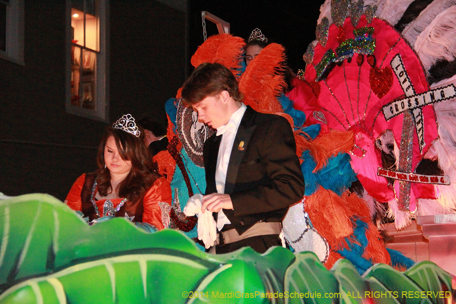 2014-Krewe-of-Pygmalion11065