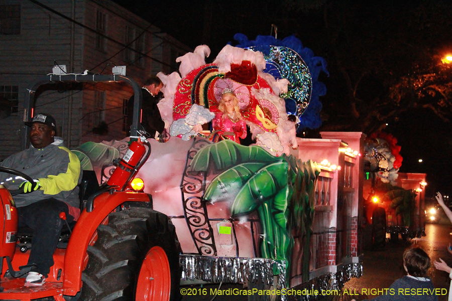 2016-Krewe-of-Pygmalion002461