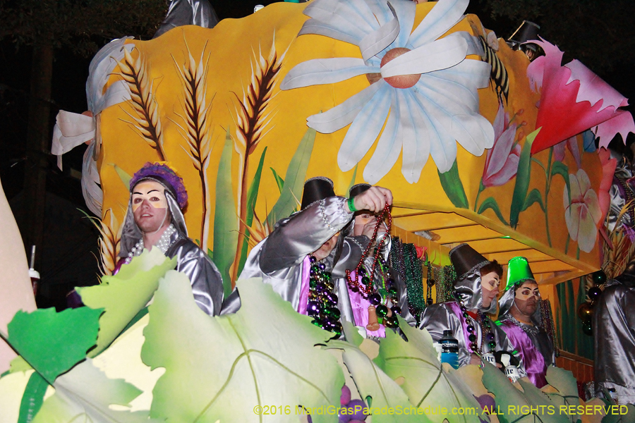 2016-Krewe-of-Pygmalion002502