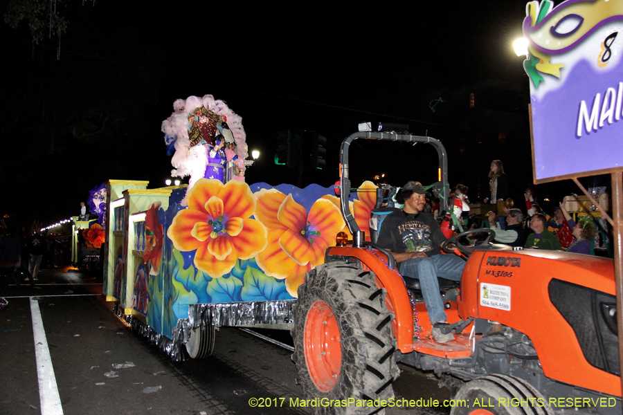 Krewe-of-Pygmalion-2017-03025