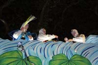 2018-Krewe-of-Pygmalion-00001998