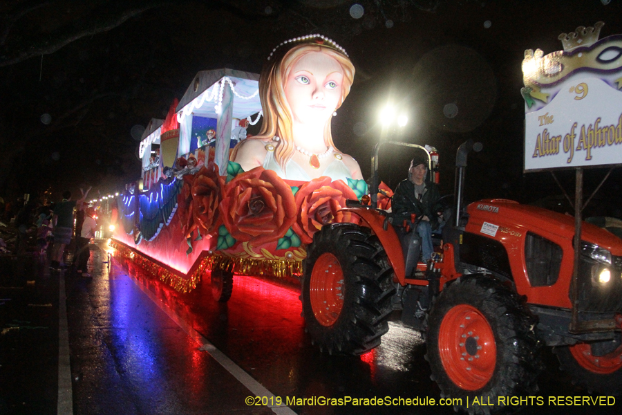 Krewe-of-Pygmalion-2019-002582