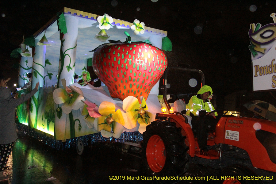 Krewe-of-Pygmalion-2019-002597