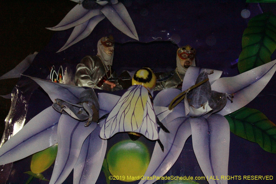 Krewe-of-Pygmalion-2019-002641