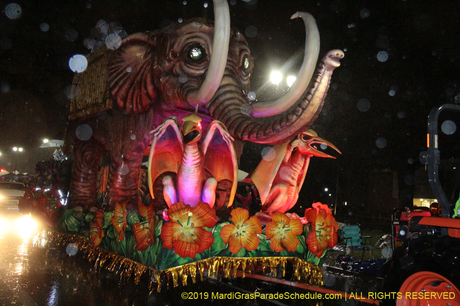 Krewe-of-Pygmalion-2019-002645