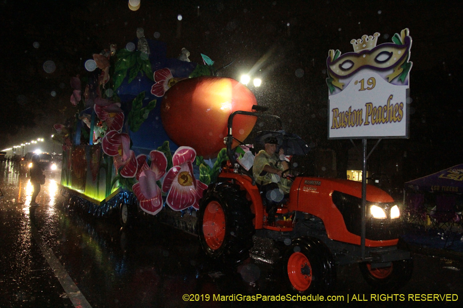 Krewe-of-Pygmalion-2019-002656