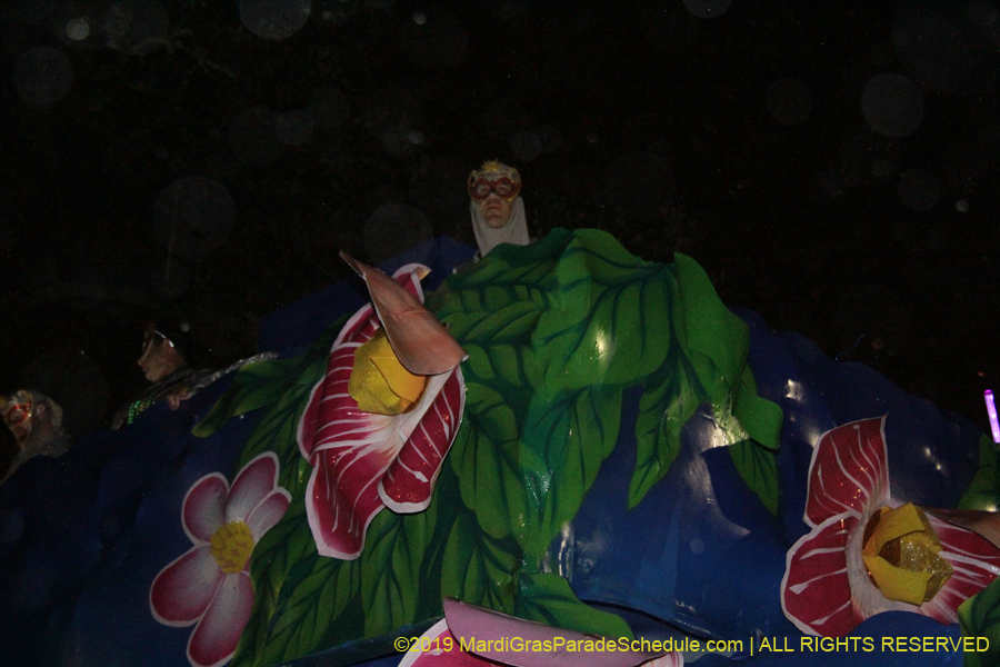 Krewe-of-Pygmalion-2019-002657