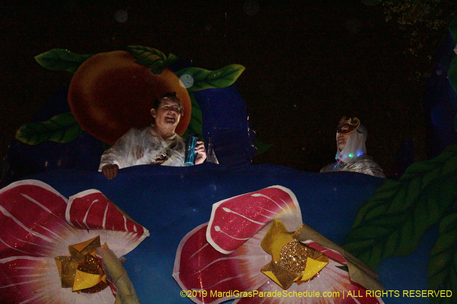 Krewe-of-Pygmalion-2019-002660