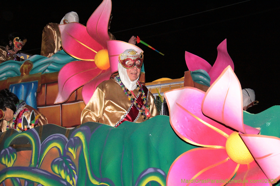 Krewe-of-Pygmalion-2020-02982