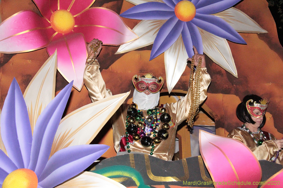 Krewe-of-Pygmalion-2020-02985