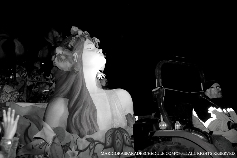 Krewe-of-Pygmalion-00105-2022