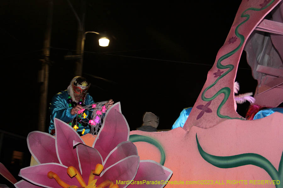 2023-Krewe-of-Pygmalion-05586