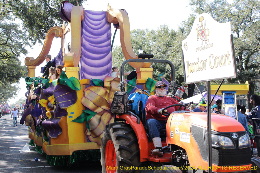 2024-Krewe-of-Pygmalion-10772