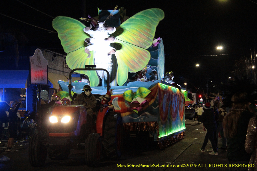 Krewe-of-Pygmalion-2025-002900