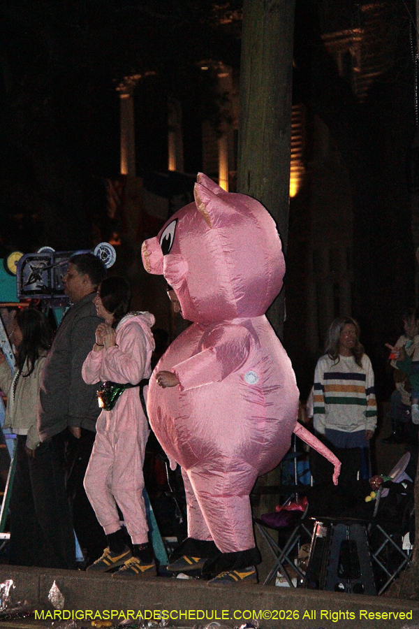 Krewe-of-Pygmalion-2026-4025