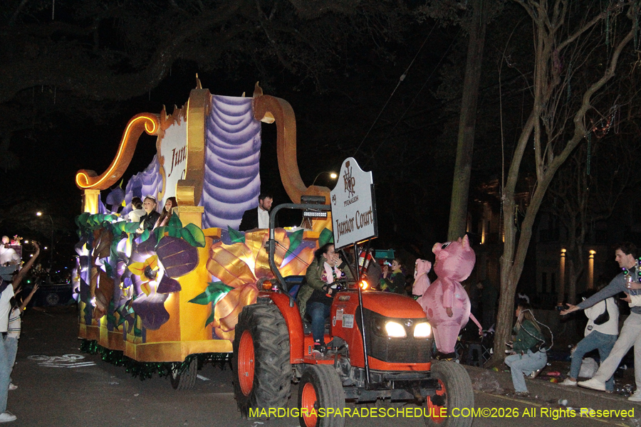 Krewe-of-Pygmalion-2026-4106
