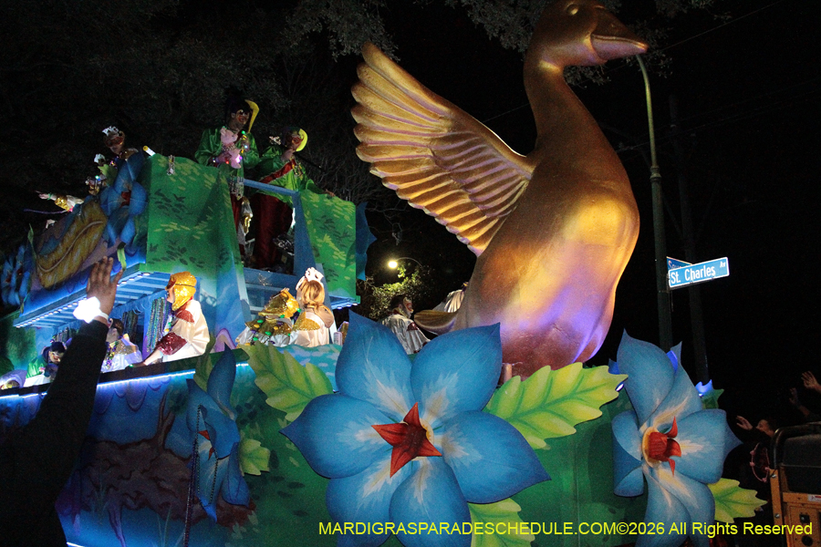 Krewe-of-Pygmalion-2026-4132